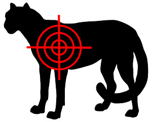 Image showing Cheetah crosslines