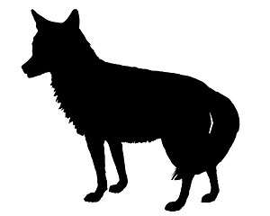 Image showing Coyote silhouette