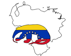 Image showing Anteater  Venezuela 