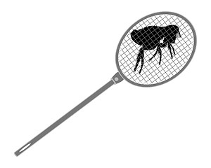 Image showing The illustration of a gray fly swatter above a flea