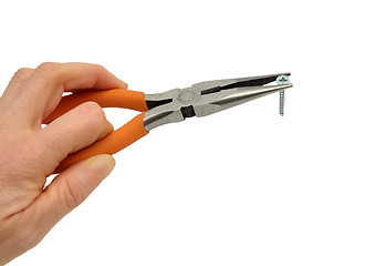 Image showing Pliers in hand