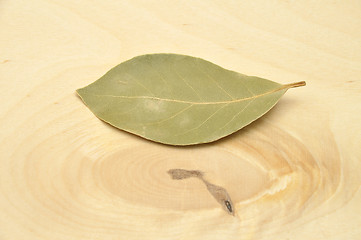 Image showing Detailed but simple image of Bay Laurel