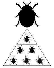 Image showing Ladybird diet pyramid