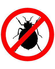 Image showing Prohibition sign for bedbugs on white background