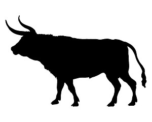 Image showing Silhouette of a bull