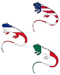 Image showing Iguana flags