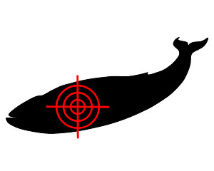 Image showing Blue whale crosshair