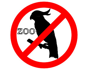 Image showing Cockatoo in zoo prohibited