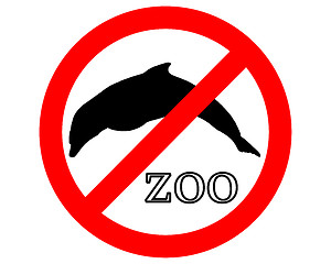 Image showing Dolphins in zoo prohibited