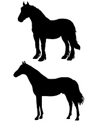 Image showing Horses silhouettes