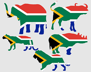 Image showing Big Five South Africa 