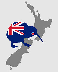 Image showing New Zealands kiwi