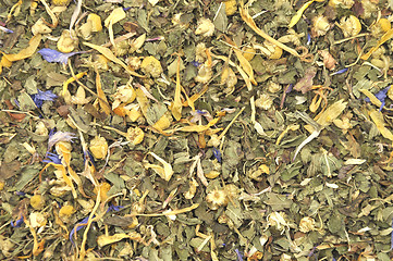 Image showing Detailed but simple image of mixed herbs