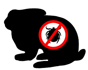 Image showing Bunny tick prohibited