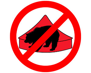 Image showing Grizzly bear in circus prohibited
