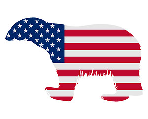 Image showing American polar bear