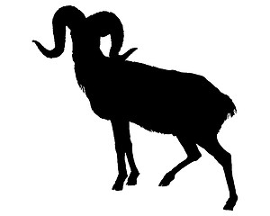 Image showing The black silhouette of a ram on white 