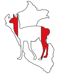 Image showing Guanaco Peru