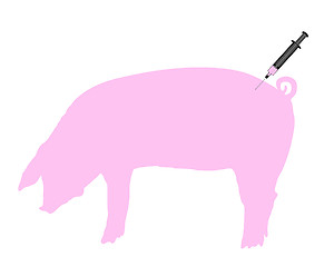 Image showing Swine gets an inoculation because of swine flu