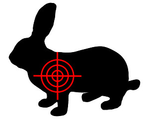Image showing Hare crosslines