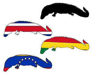 Image showing Caiman flags