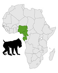 Image showing Mandrill range map