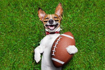 Image showing american football dog