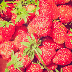 Image showing Retro look Strawberries