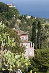 Image showing garden in sicily