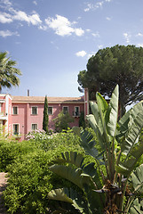 Image showing garden in sicily