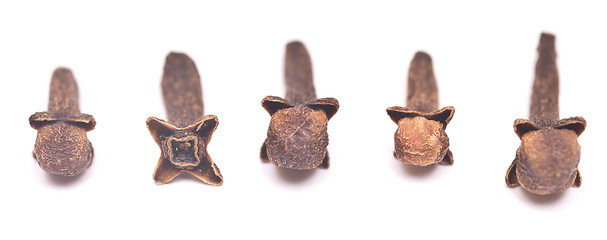 Image showing clove