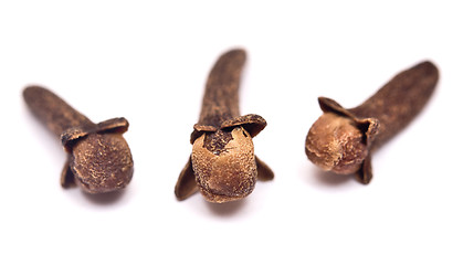 Image showing cloves