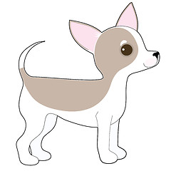 Image showing Chihuahua