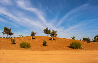 Image showing Scenic desert landscape