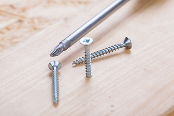 Image showing Phillips head screwdriver and wood screws