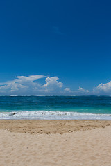 Image showing Beautiful tropical beach with lush vegetation