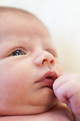 Image showing Small baby lying in fur