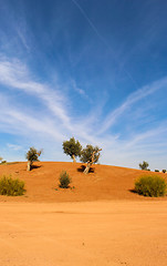 Image showing Scenic desert landscape