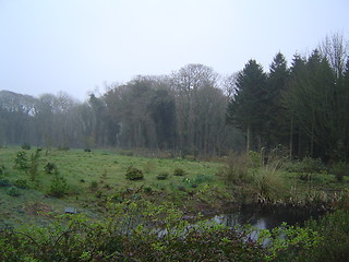 Image showing Scotish landscape