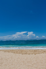 Image showing Beautiful tropical beach with lush vegetation