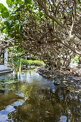 Image showing Ornamental fountain