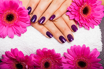 Image showing Woman with beautiful manicured purple nails