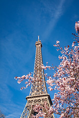 Image showing Eiffel Tower in Paris