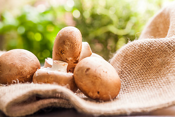 Image showing Fresh brown Agaricus mushrooms