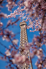 Image showing Eiffel Tower in Paris