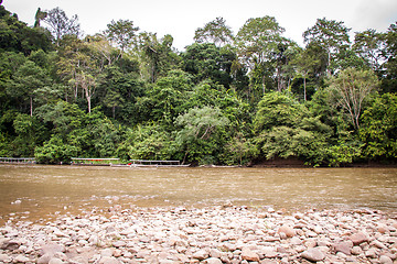 Image showing Stony river bed in a lush green jungle