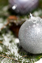 Image showing Silver Christmas bauble on a tree with snow