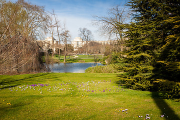 Image showing Tranquil park with a pond and wildflowers