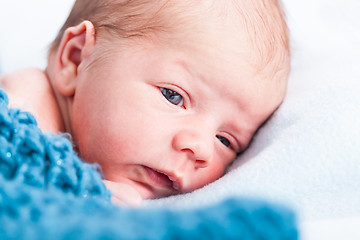 Image showing Small infant wrapped in knitted fabric