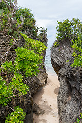 Image showing Beautiful tropical beach with lush vegetation